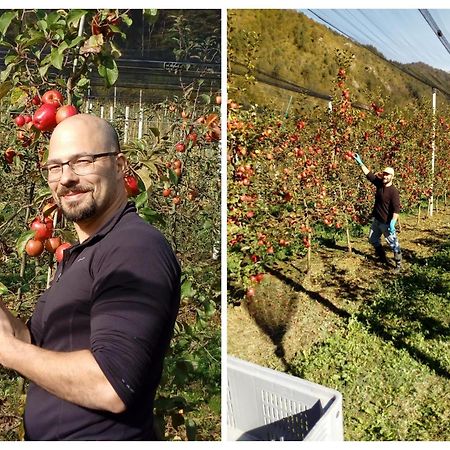 Agriturismo Pian Dei Tass Barcis Eksteriør bilde