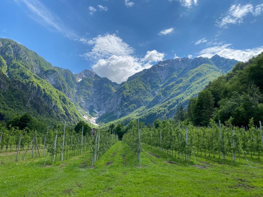 Agriturismo Pian Dei Tass Barcis Eksteriør bilde
