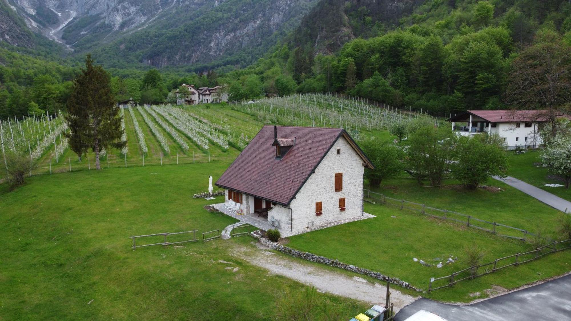 Agriturismo Pian Dei Tass Barcis Eksteriør bilde