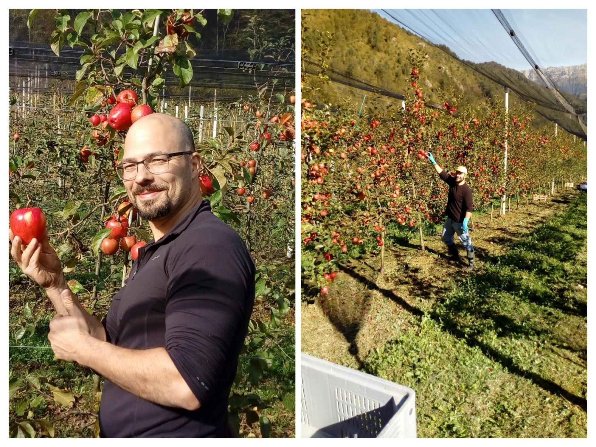 Agriturismo Pian Dei Tass Barcis Eksteriør bilde