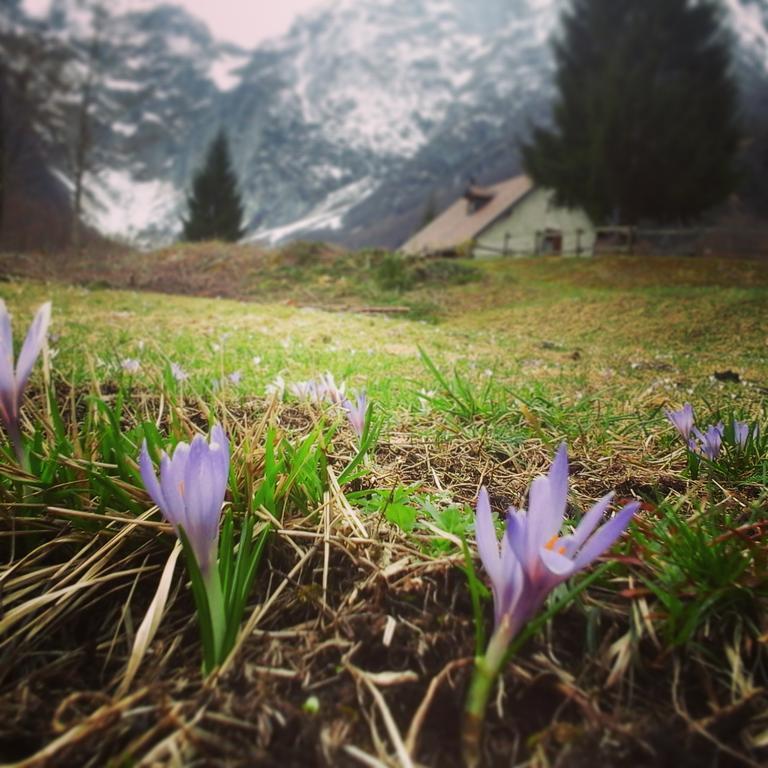 Agriturismo Pian Dei Tass Barcis Eksteriør bilde