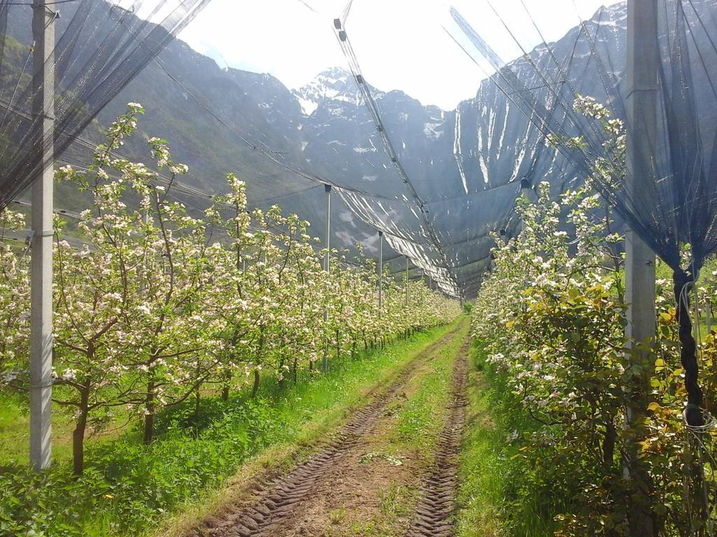 Agriturismo Pian Dei Tass Barcis Eksteriør bilde